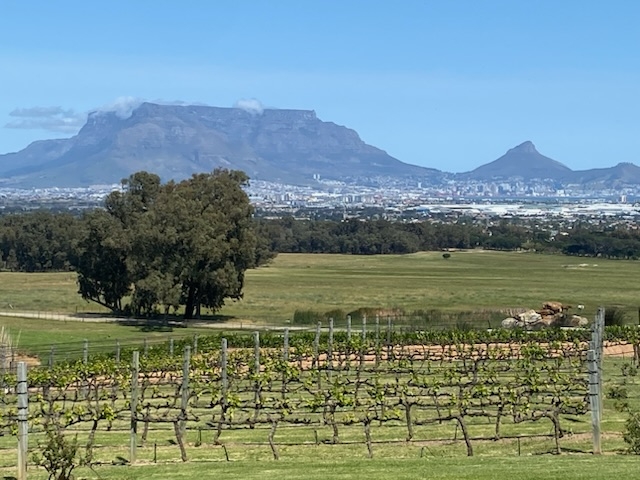 Bibenda Viaggi: Sudafrica Bibenda Viaggi: Sudafrica