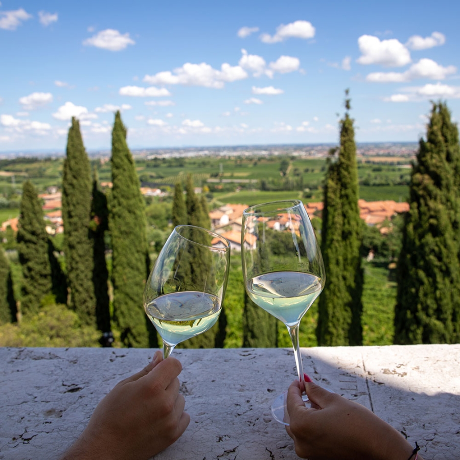 Consorzio Tutela Vino Custoza Consorzio Tutela Vino Custoza