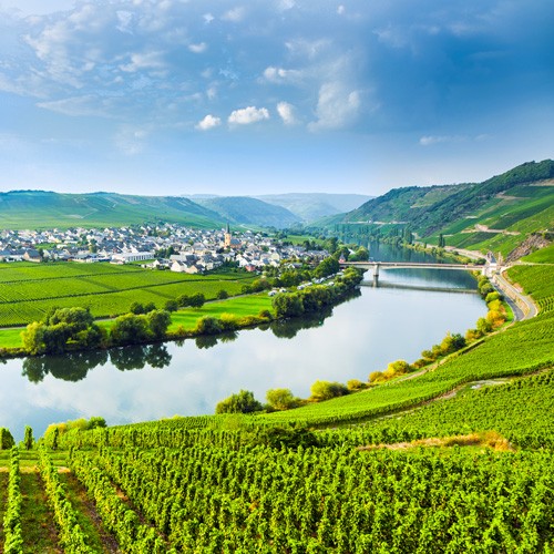 Corso sul Riesling: Le terre del Grande Riesling Corso sul Riesling: Le terre del Grande Riesling