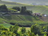 Corso sul Barolo e Barbaresco Corso sul Barolo e Barbaresco