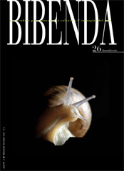 Numero 26 Numero 26