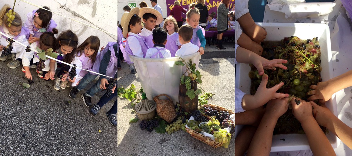 Un gruppo di bambini che si impegnano nella Vendemmia e nella Pigiatura dell’uva Un gruppo di bambini che si impegnano nella Vendemmia e nella Pigiatura dell’uva