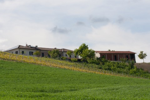 L'azienda Montariolo L'azienda Montariolo