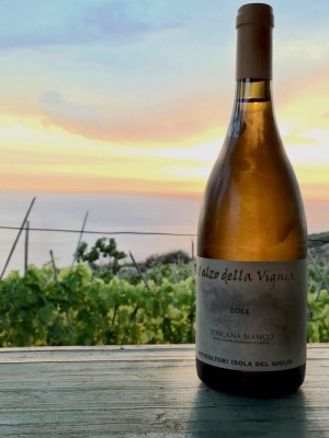 Il Calzo della Vignia dei Viticoltori Isola del Giglio Il Calzo della Vignia dei Viticoltori Isola del Giglio