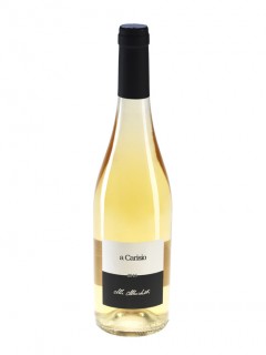 Il vino A Carisio Bianco dell'azienda Menichetti Il vino A Carisio Bianco dell'azienda Menichetti