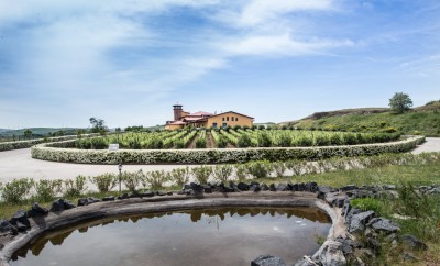 Cantine del Notaio Cantine del Notaio