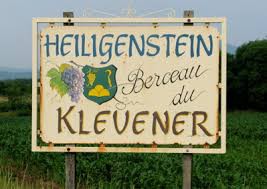 Il vitigno noto con il nome di Klevener de Heiligenstein Il vitigno noto con il nome di Klevener de Heiligenstein