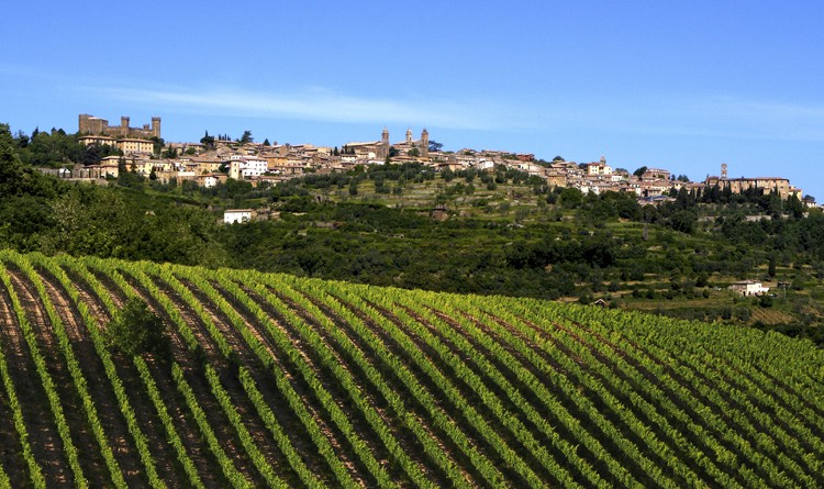 Le vigne di Montalcino Le vigne di Montalcino