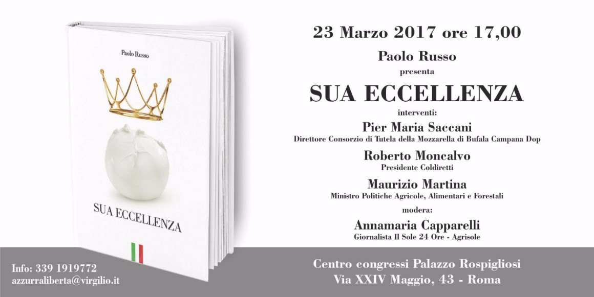 Sua Eccellenza Sua Eccellenza