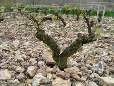 Mineralità: ultimo atto? Mineralità: ultimo atto?