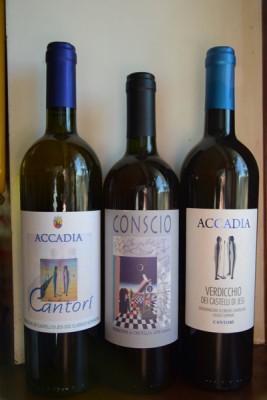 I vini di Cantine Accadia I vini di Cantine Accadia