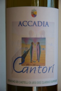 I vini di Cantine Accadia I vini di Cantine Accadia