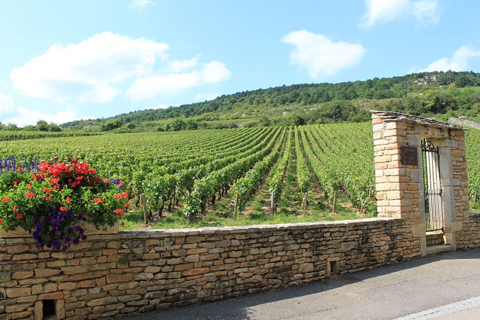 Viaggio in Borgogna con Fondazione Italiana Sommelier Viaggio in Borgogna con Fondazione Italiana Sommelier