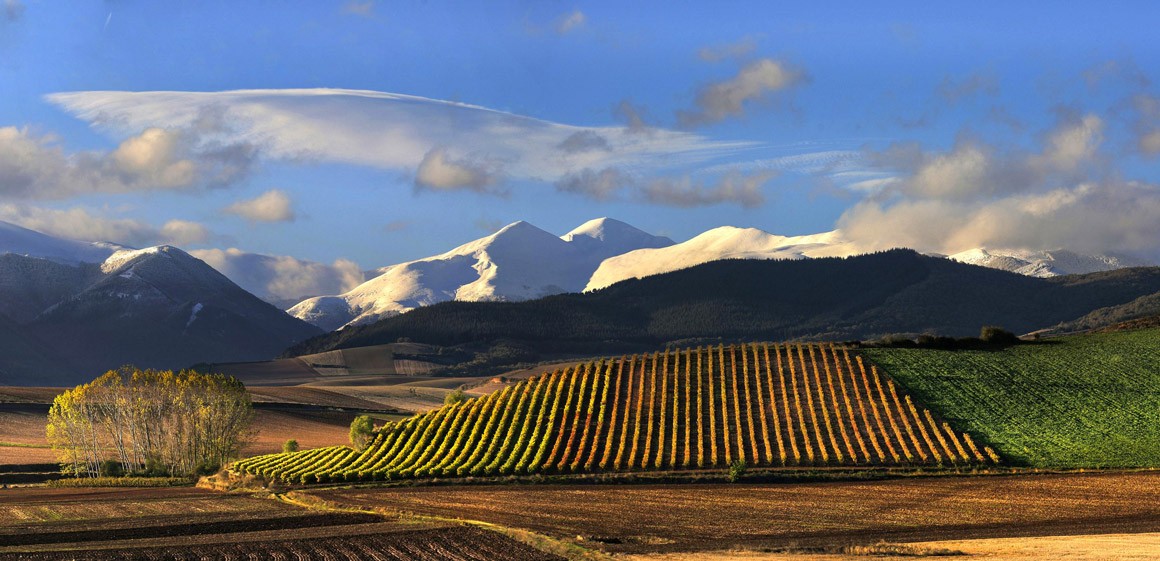 Panorama Rioja Panorama Rioja