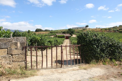 Lopez de Heredia Lopez de Heredia