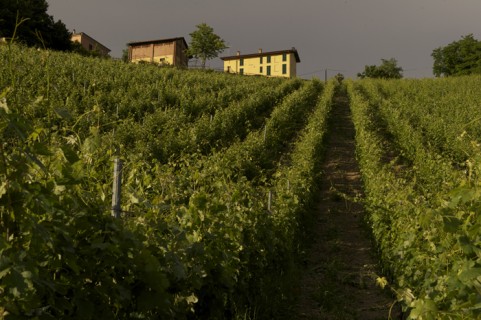 L'azienda Defilippi Fabbio - i Gessi L'azienda Defilippi Fabbio - i Gessi