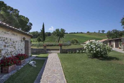 L'azienda Carpineto L'azienda Carpineto