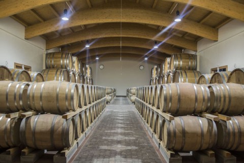 La cantina dell'azienda Carpineto La cantina dell'azienda Carpineto
