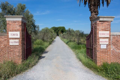 L'ingresso del Castello del Terriccio L'ingresso del Castello del Terriccio