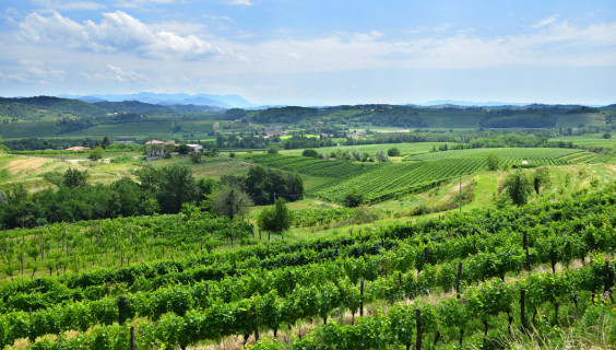 Il paesaggio Il paesaggio