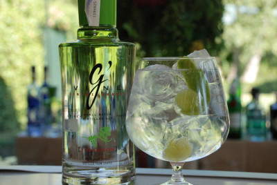 Gin? Sì, ma nato in vigna / La ricetta del Gin Tonic Gin? Sì, ma nato in vigna / La ricetta del Gin Tonic