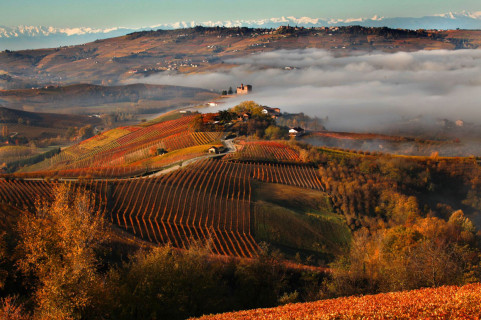 veduta delle terre del Barolo veduta delle terre del Barolo