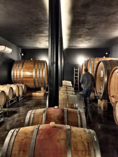 Una passeggiata a Monforte tra gufi, furetti, natura e tranquillità / La cantina dell'azienda Réva Una passeggiata a Monforte tra gufi, furetti, natura e tranquillità / La cantina dell'azienda Réva