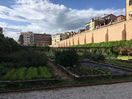 Antichi vigneti a Venezia Antichi vigneti a Venezia