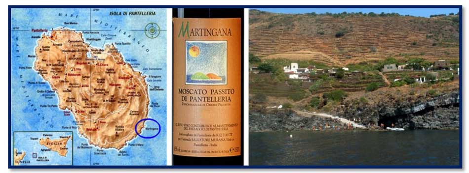 Il vino e la musica dell’anima Seconda Parte Il vino e la musica dell’anima Seconda Parte