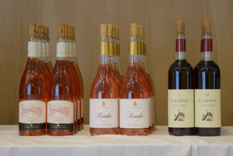 Miglior Vino Rosato - i candidati all'Oscar del Vino 2018 Miglior Vino Rosato - i candidati all'Oscar del Vino 2018