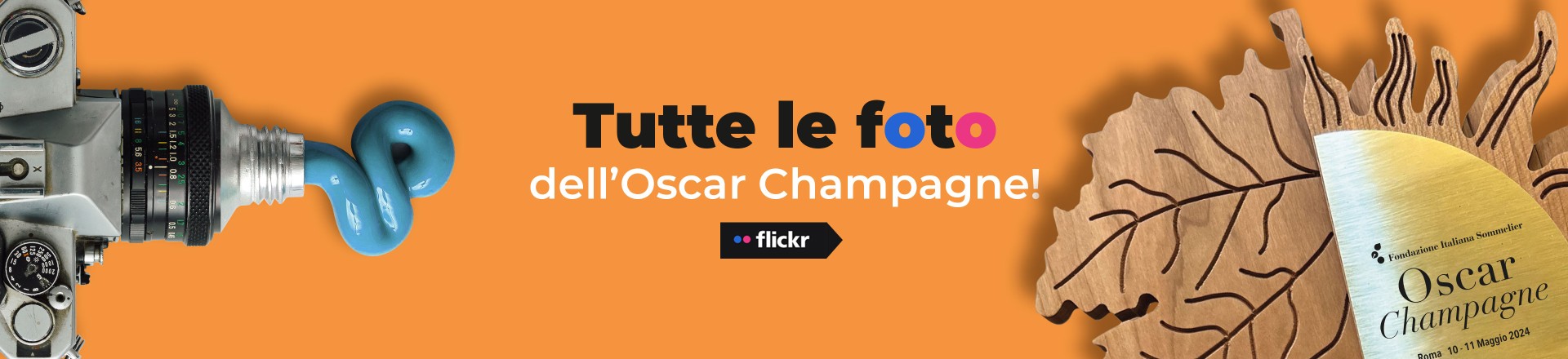 Tutte le foto dell'Oscar Champagne 2024