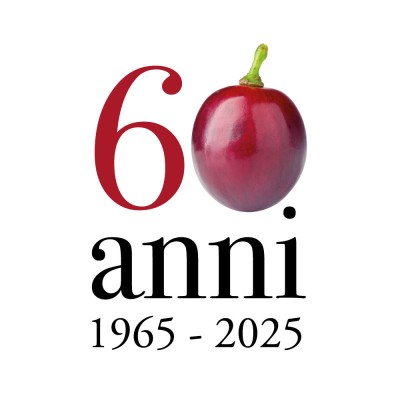 Un anno speciale allora! Un anno speciale allora!