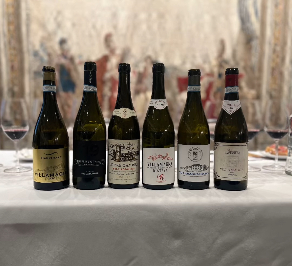 Le etichette in degustazione Le etichette in degustazione