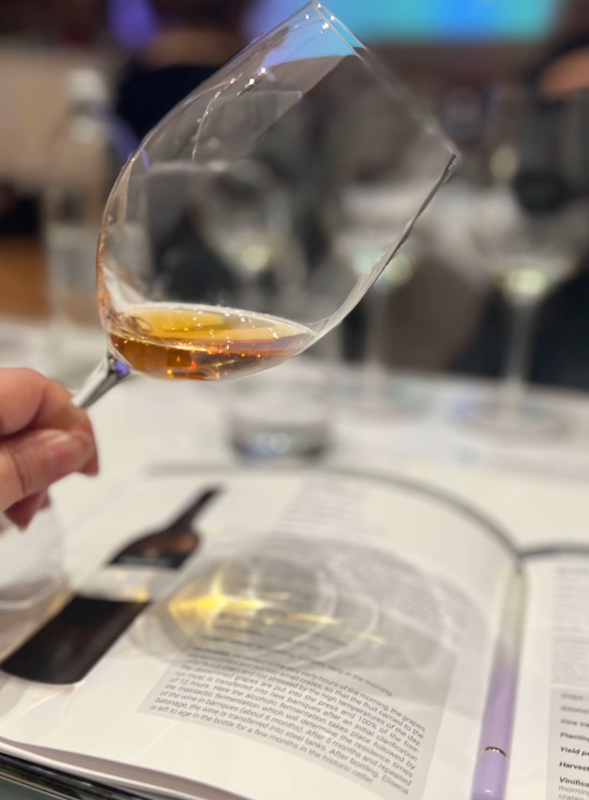 La degustazione dei vini di Terra Fageto La degustazione dei vini di Terra Fageto