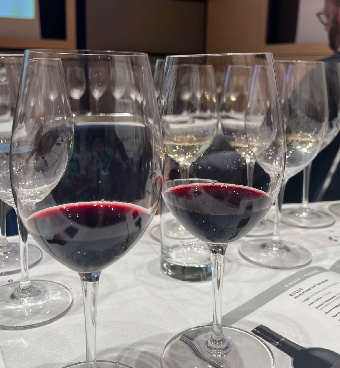 La degustazione dei vini di Terra Fageto La degustazione dei vini di Terra Fageto